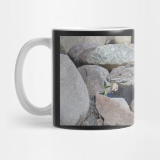 Female Green Iguana Mug